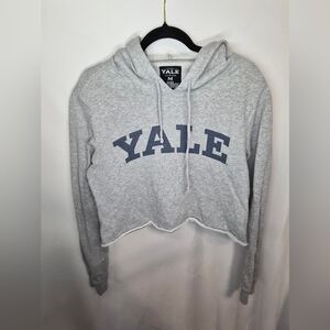 Gray Cropped Hoodie